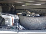 Ford F-150 Lariat 1FTEW1E46KFA73265 снимка