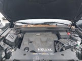 Chevrolet Equinox 1Lt 2GNFLEE53C6203096 снимка