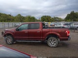 Ford F-150 Xlt 1FTEW1EFXGKF77365 снимка
