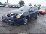 Cadillac Srx Performance Collection 3GYFNEEY5BS565728 fotografie
