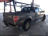 Ford F-150 Xlt 1FTFW1ET4DKD54969 снимка