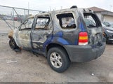 Ford Escape Xlt 1FMYU93185DA11341 снимка