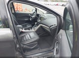 Ford C-Max Energi Sel 1FADP5CU5FL116042 снимка