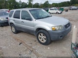 Ford Escape Xlt/Xlt Sport 1FMYU93116KC74803 fotografie