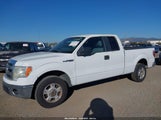 Ford F-150 Xlt 1FTEX1CM5EKG53294 снимка