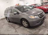 Honda Odyssey Ex-L 5FNRL5H62FB006994 снимка