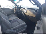 Ford F-150 Xlt 1FTFW1EF7DFD57481 photo