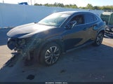 Lexus Ux 200 JTHP3JBH5L2024042 снимка