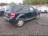 Ford Escape Xlt 1FMCU9DG1BKB17392 снимка