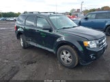 Ford Escape Xlt 1FMCU9DG1BKB17392 fotografie
