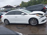 Hyundai Sonata Sport 5NPE34AF3HH457634 снимка
