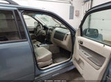 Ford Escape Xlt 1FMCU9DG7AKC77243 снимка