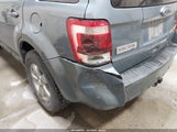Ford Escape Xlt 1FMCU9DG7AKC77243 снимка