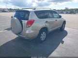 Toyota Rav4 JTMZD33V085082203 снимка