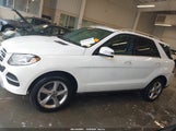 Mercedes-Benz Gle 400 4Matic 4JGDA5GB7KB209516 fotografie