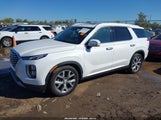 Hyundai Palisade Sel KM8R3DHE6LU081374 снимка