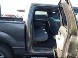 Ford F-150 Xlt 1FTFW1EF1DFE08344 снимка