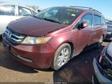 Honda Odyssey Ex-L 5FNRL5H69GB083346 снимка