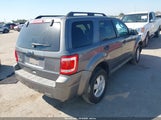 Ford Escape Xlt 1FMCU0D71BKA21547 fotografie