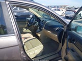 Honda Cr-V Ex-L 5J6RE38799L005716 photo