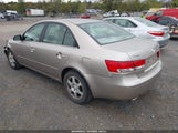 Hyundai Sonata Gls V6/Lx V6 5NPEU46F26H066817 fotografie