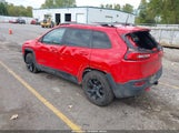 Miniaturka zdjęcia 3
