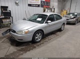 Miniaturka zdjęcia 2