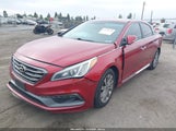 Hyundai Sonata Sport 5NPE34AF4FH193434 снимка
