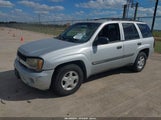 Chevrolet Trailblazer Ls 1GNDS13S432157321 снимка