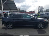 Hyundai Sonata Se 5NPE24AF3GH313938 снимка