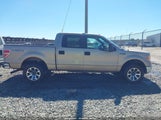 Ford F-150 Xlt 1FTFW1EF9EFC01573 снимка