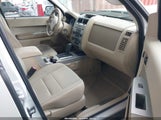 Ford Escape Xlt 1FMCU0DG6CKA58529 fotografie