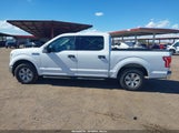 Ford F-150 Xlt 1FTEW1CP2HKC93225 снимка