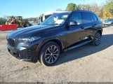 BMW X5 xDrive40I 5UX23EU03S9Z28664 fotografie