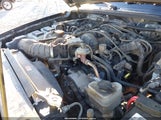 Ford Ranger Fx4 Level Ii/Fx4 Off-Road/Sport/Xlt 1FTZR45EX6PA95336 fotografie
