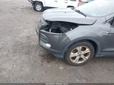 Miniaturka zdjęcia 6