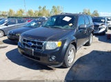 Ford Escape Xlt 1FMCU9D79BKC22312 fotografie