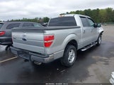Ford F-150 Xlt 1FTEW1CMXDFB31903 снимка