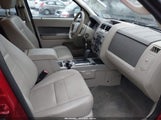 Ford Escape Xlt 1FMCU93G69KC79790 снимка