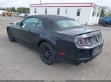 Ford Mustang V6 Premium 1ZVBP8EM4E5287560 снимка