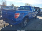 Ford F-150 Stx 1FTFX1EF8DFD16421 fotografie