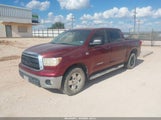 Toyota Tundra Grade 4.6L V8 5TFEM5F18AX004099 fotografie