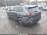 Miniaturka zdjęcia 3