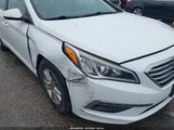 Hyundai Sonata Se 5NPE24AF1FH191465 снимка