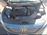 Hyundai Sonata Sport 5NPE34AF9FH223270 photo