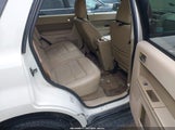 Miniaturka zdjęcia 8