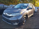 Honda Cr-V Touring 2HKRW2H96HH606731 снимка