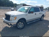 Ford F-150 Fx2 Sport/Xl/Xlt 1FTEW1C89AFD04146 fotografie