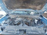 Ford F-150 Raptor 1FTFW1RG7HFB54275 снимка