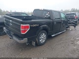 Ford F-150 Xlt 1FTFW1ET4EKF13698 снимка